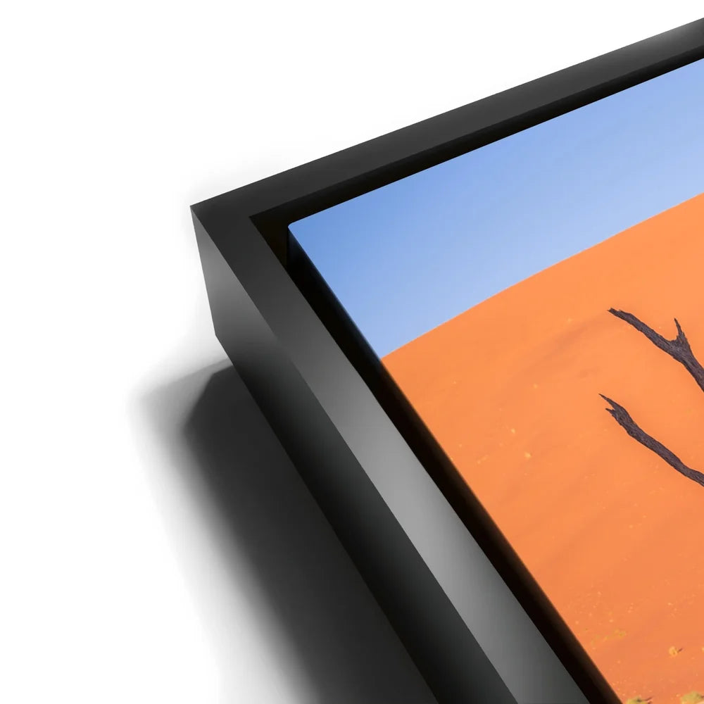 Featured image 12 for Deadvlei