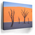 Thumbnail image 3 for Deadvlei