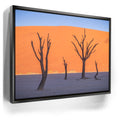 Featured image 6 for Deadvlei