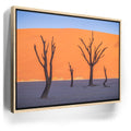 Featured image 10 for Deadvlei