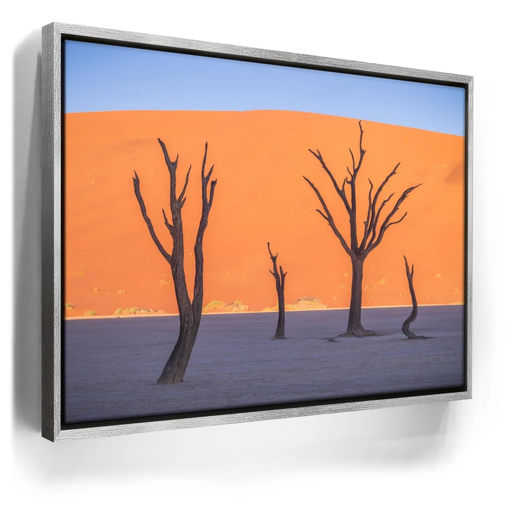 Featured image 9 for Deadvlei