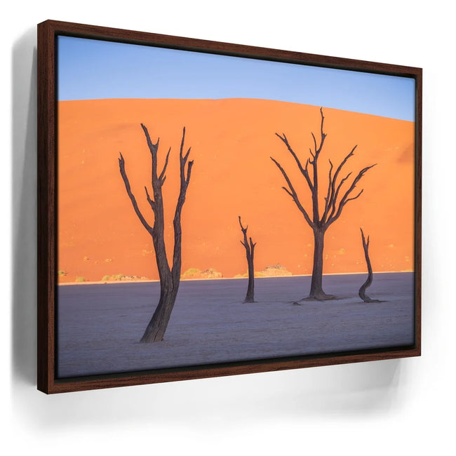 Featured image 11 for Deadvlei
