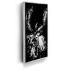 Featured image 9 for Deer - Watercolor - Black and White