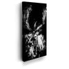 Thumbnail image 5 for Deer - Watercolor - Black and White