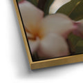 Thumbnail image 12 for Delicate Plumeria, Maui