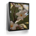 Featured image 5 for Delicate Plumeria, Maui