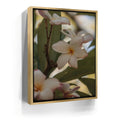 Featured image 7 for Delicate Plumeria, Maui