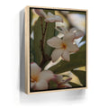 Featured image 9 for Delicate Plumeria, Maui