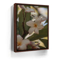Featured image 10 for Delicate Plumeria, Maui