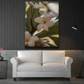 Thumbnail image 2 for Delicate Plumeria, Maui