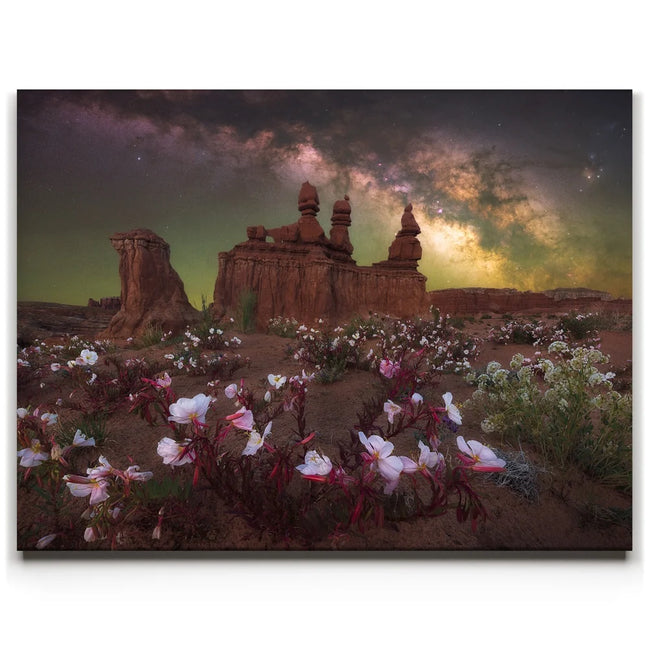 Featured image 1 for Desert Bloom - Goblin Valley State Park, Utah