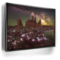 Featured image 5 for Desert Bloom - Goblin Valley State Park, Utah