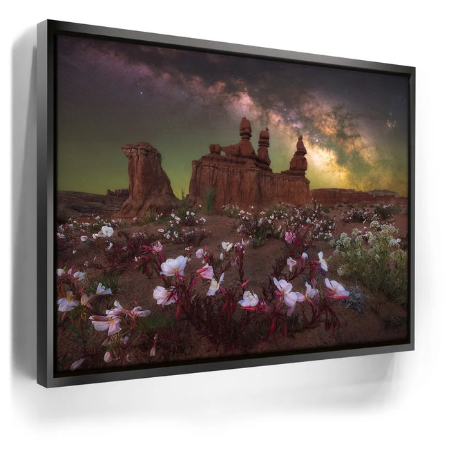Featured image 5 for Desert Bloom - Goblin Valley State Park, Utah