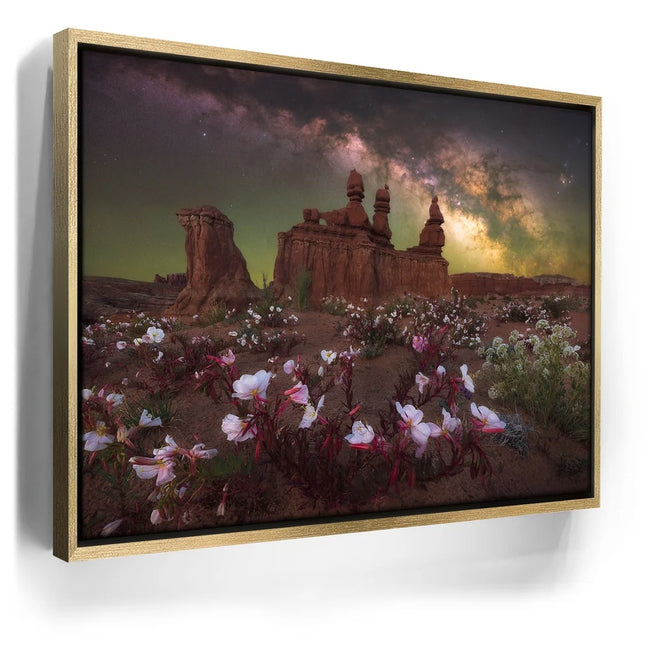Featured image 7 for Desert Bloom - Goblin Valley State Park, Utah
