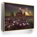 Featured image 9 for Desert Bloom - Goblin Valley State Park, Utah