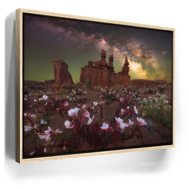 Featured image 9 for Desert Bloom - Goblin Valley State Park, Utah