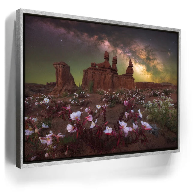 Featured image 8 for Desert Bloom - Goblin Valley State Park, Utah