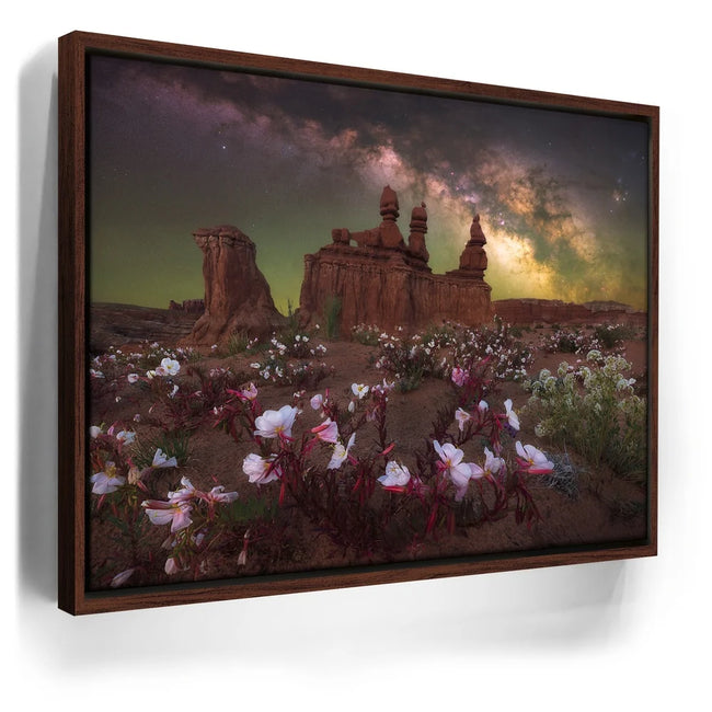 Featured image 10 for Desert Bloom - Goblin Valley State Park, Utah