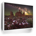 Featured image 6 for Desert Bloom - Goblin Valley State Park, Utah