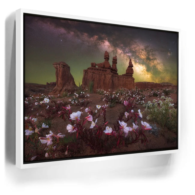 Featured image 6 for Desert Bloom - Goblin Valley State Park, Utah
