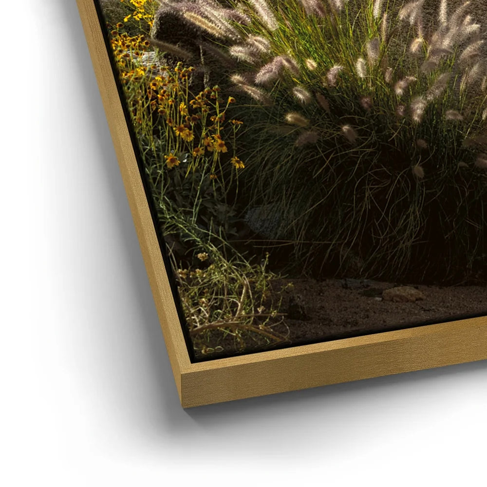 Featured image 12 for Desert Majesty