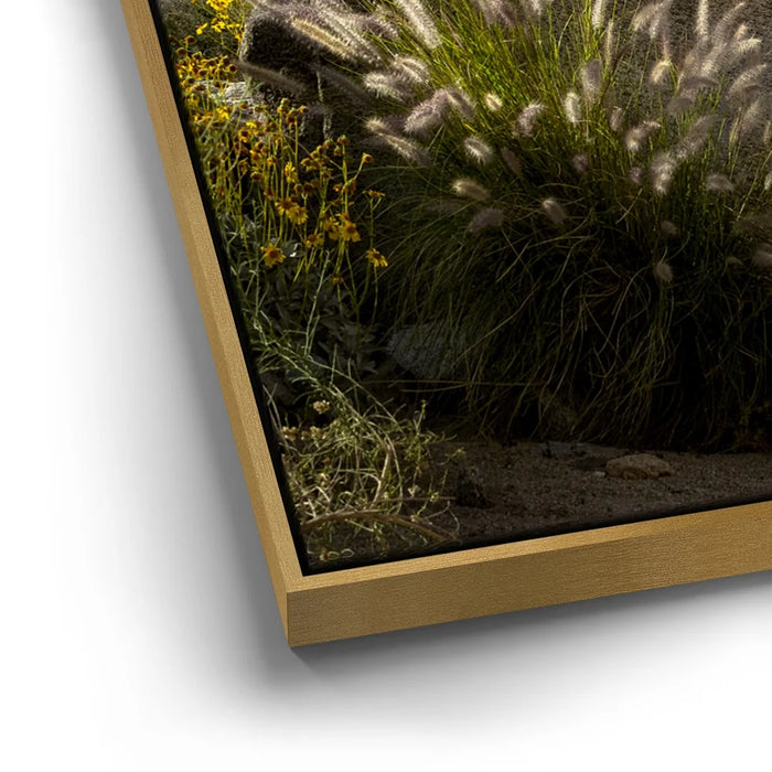 Featured image 13 for Desert Majesty