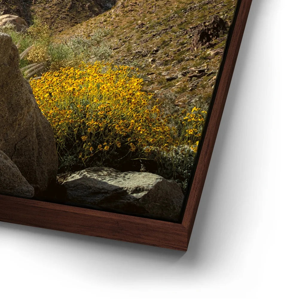 Featured image 14 for Desert Majesty