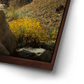 Thumbnail image 14 for Desert Majesty