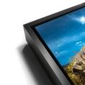 Thumbnail image 11 for Desert Majesty