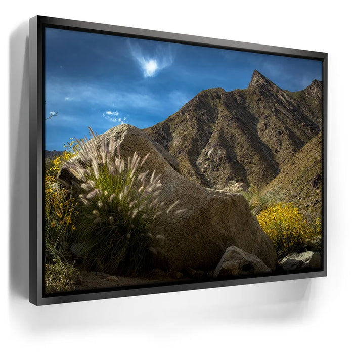 Featured image 6 for Desert Majesty