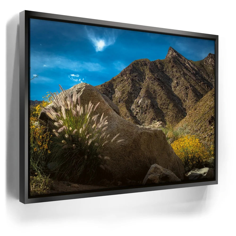 Featured image 5 for Desert Majesty