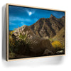 Featured image 9 for Desert Majesty