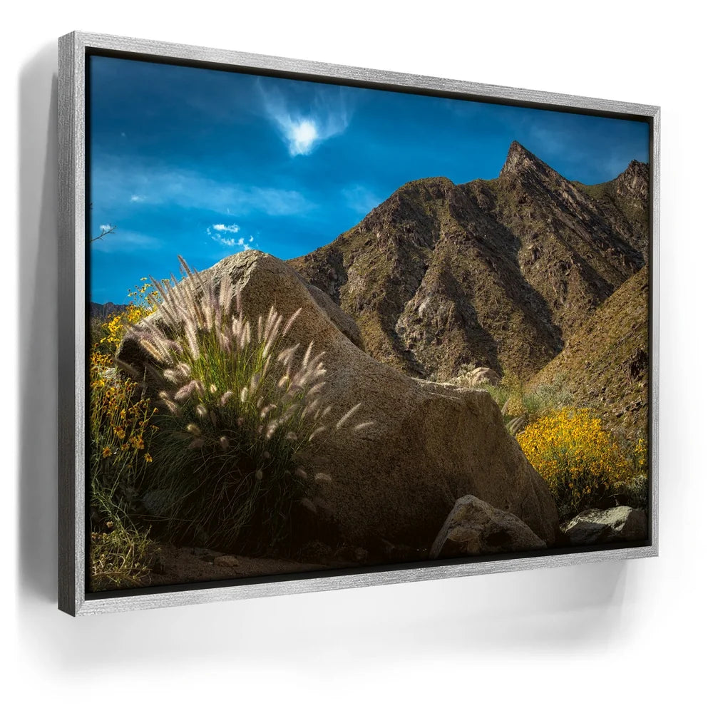 Featured image 8 for Desert Majesty