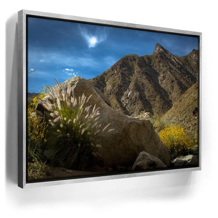 Featured image 9 for Desert Majesty