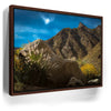 Featured image 10 for Desert Majesty