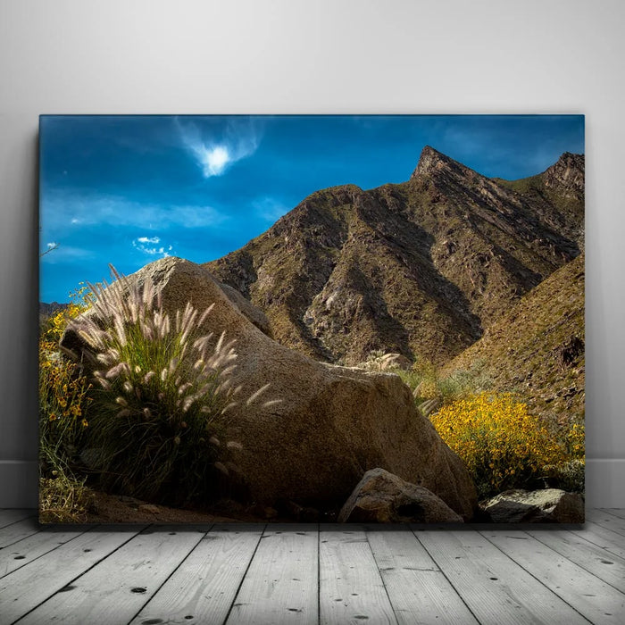 Featured image 1 for Desert Majesty