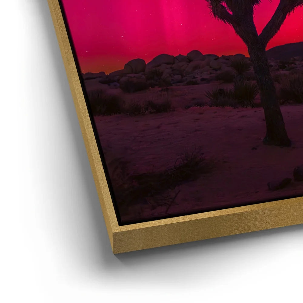 Featured image 12 for Desert Northern Lights