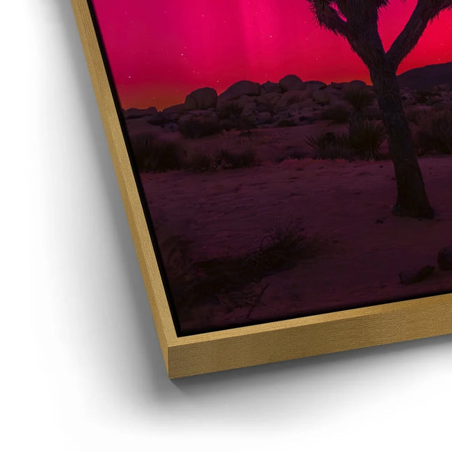 Featured image 12 for Desert Northern Lights