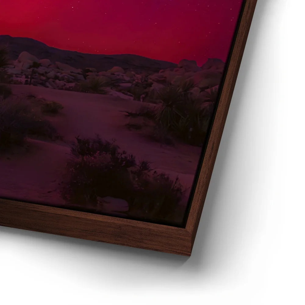 Featured image 14 for Desert Northern Lights