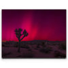 Featured image 1 for Desert Northern Lights