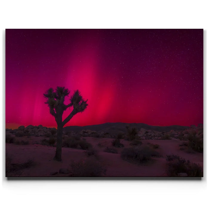 Featured image 1 for Desert Northern Lights