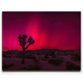 Desert Northern Lights