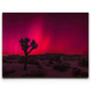 Featured image 1 for Desert Northern Lights