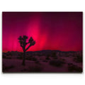 Featured image 1 for Desert Northern Lights