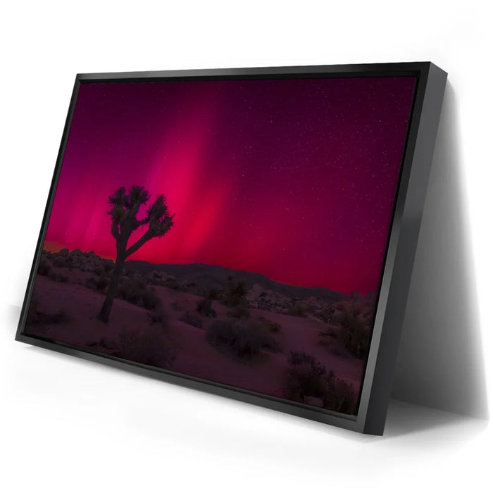 Featured image 2 for Desert Northern Lights