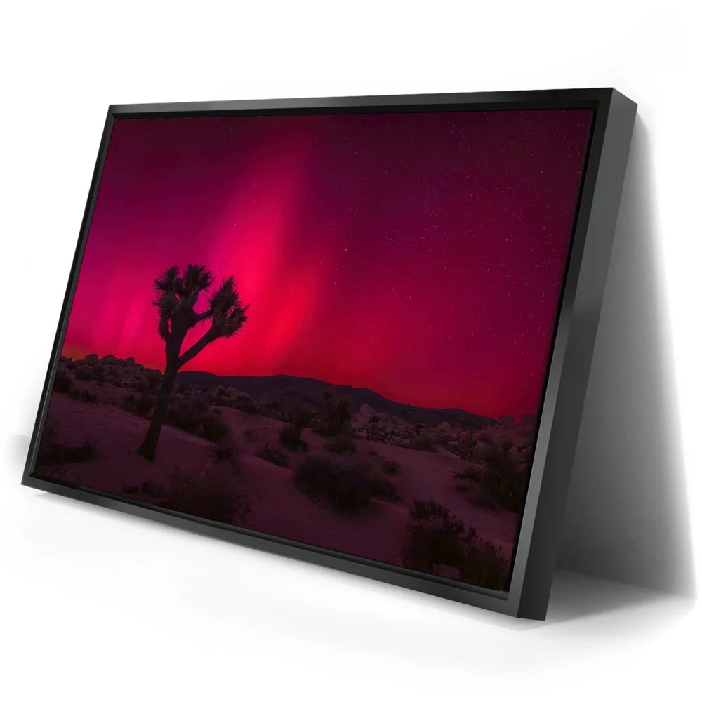 Featured image 2 for Desert Northern Lights