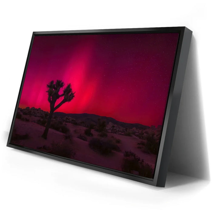 Featured image 2 for Desert Northern Lights