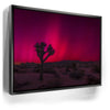 Featured image 6 for Desert Northern Lights