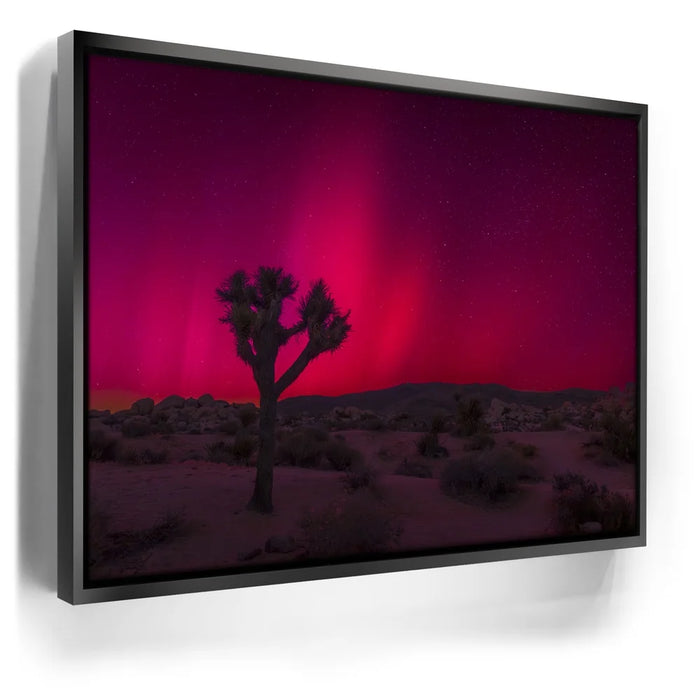 Featured image 6 for Desert Northern Lights