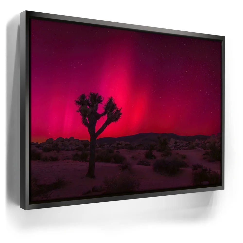 Featured image 5 for Desert Northern Lights